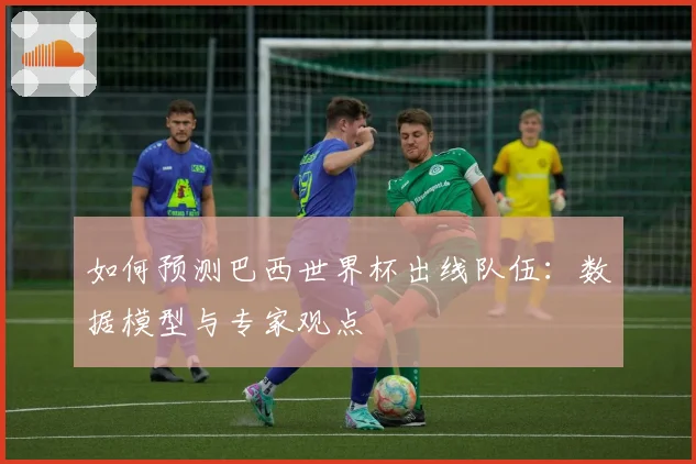 如何预测巴西世界杯出线队伍:数据模型与专家观点