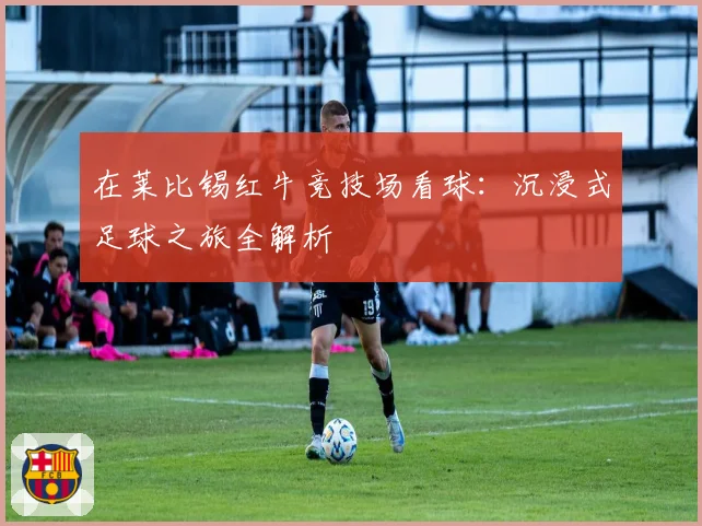 在莱比锡红牛竞技场看球:沉浸式足球之旅全解析