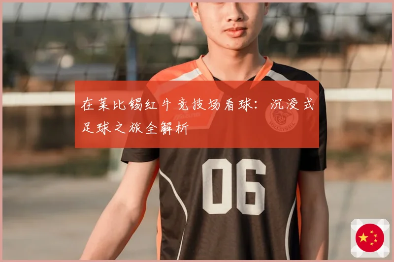 在莱比锡红牛竞技场看球：沉浸式足球之旅全解析