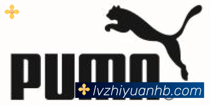 开云体育合作伙伴